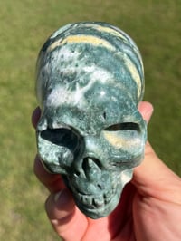Image 4 of Ocean Jasper Skull #2177