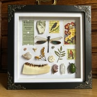 Image 1 of trinket frame #2