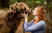 Image 2 of Professional photos with our brand new baby highland cow! 