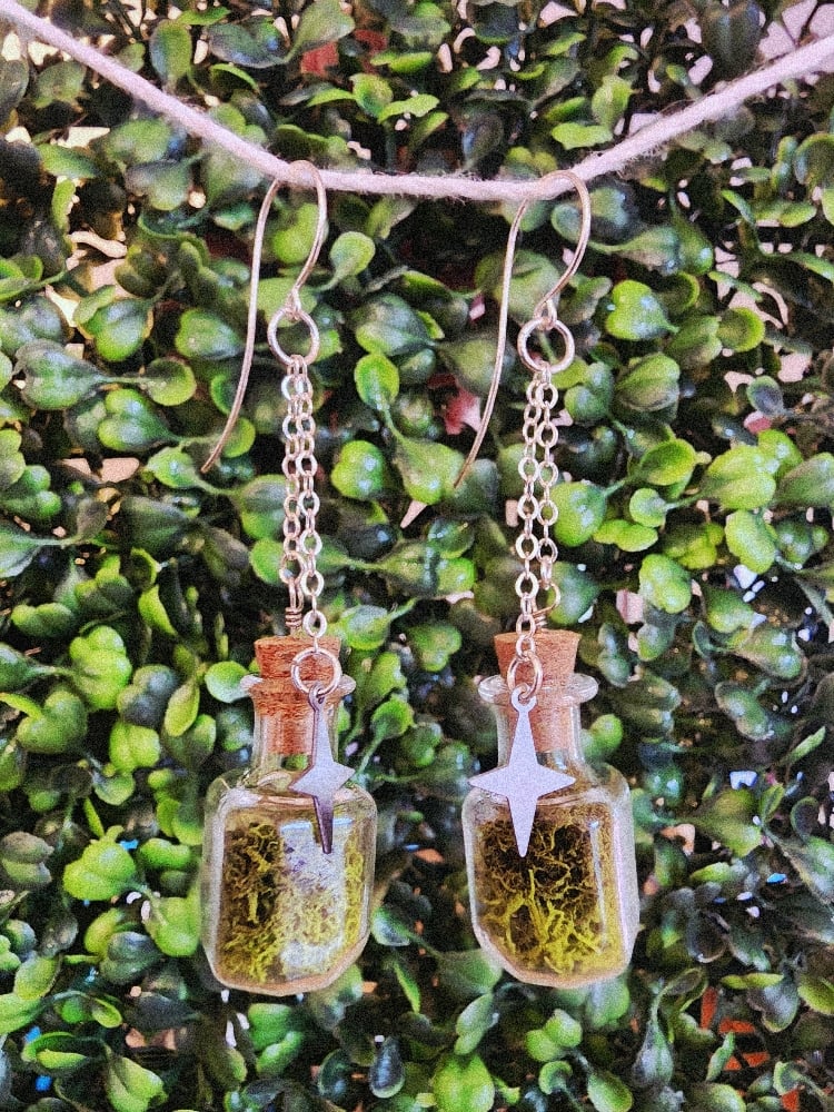 Image of mossy square jar earrings 