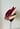 Jai Hat in Burgundy 