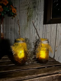 Image 1 of Swamp Jars