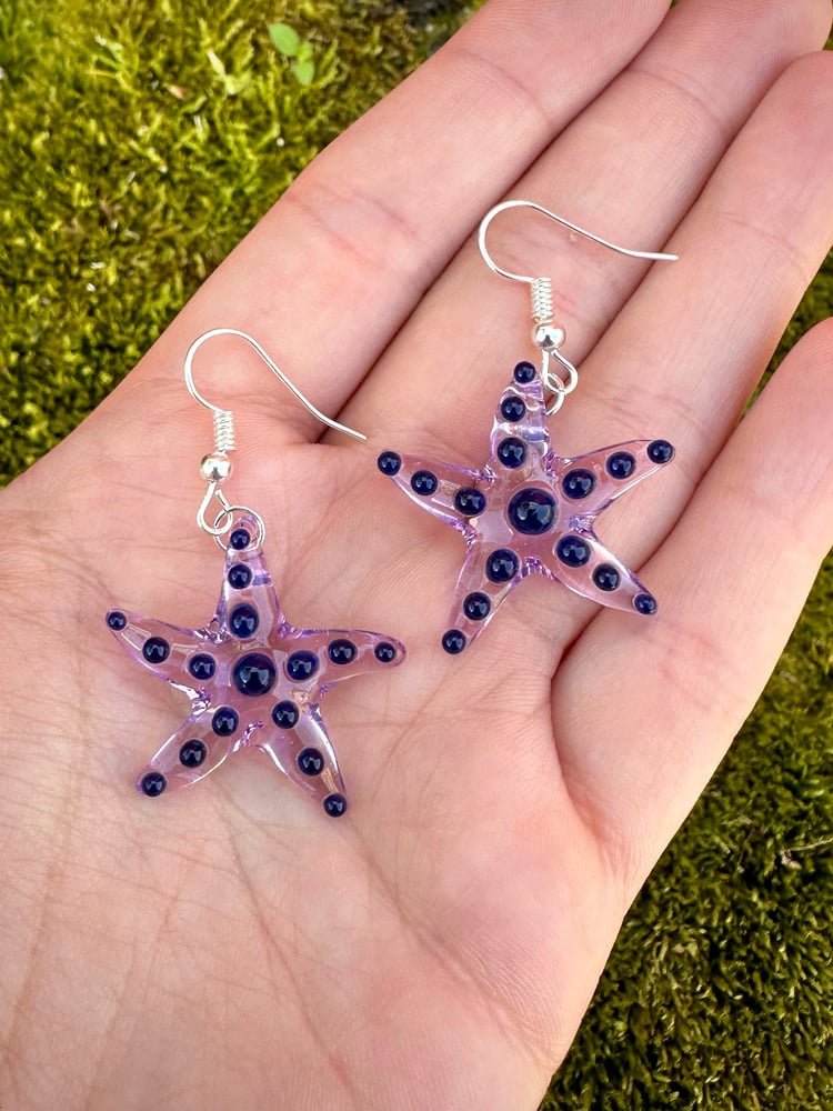 Image of Starfish earrings 