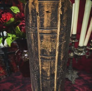 Image of Victorian Cabinet Card Photo Album