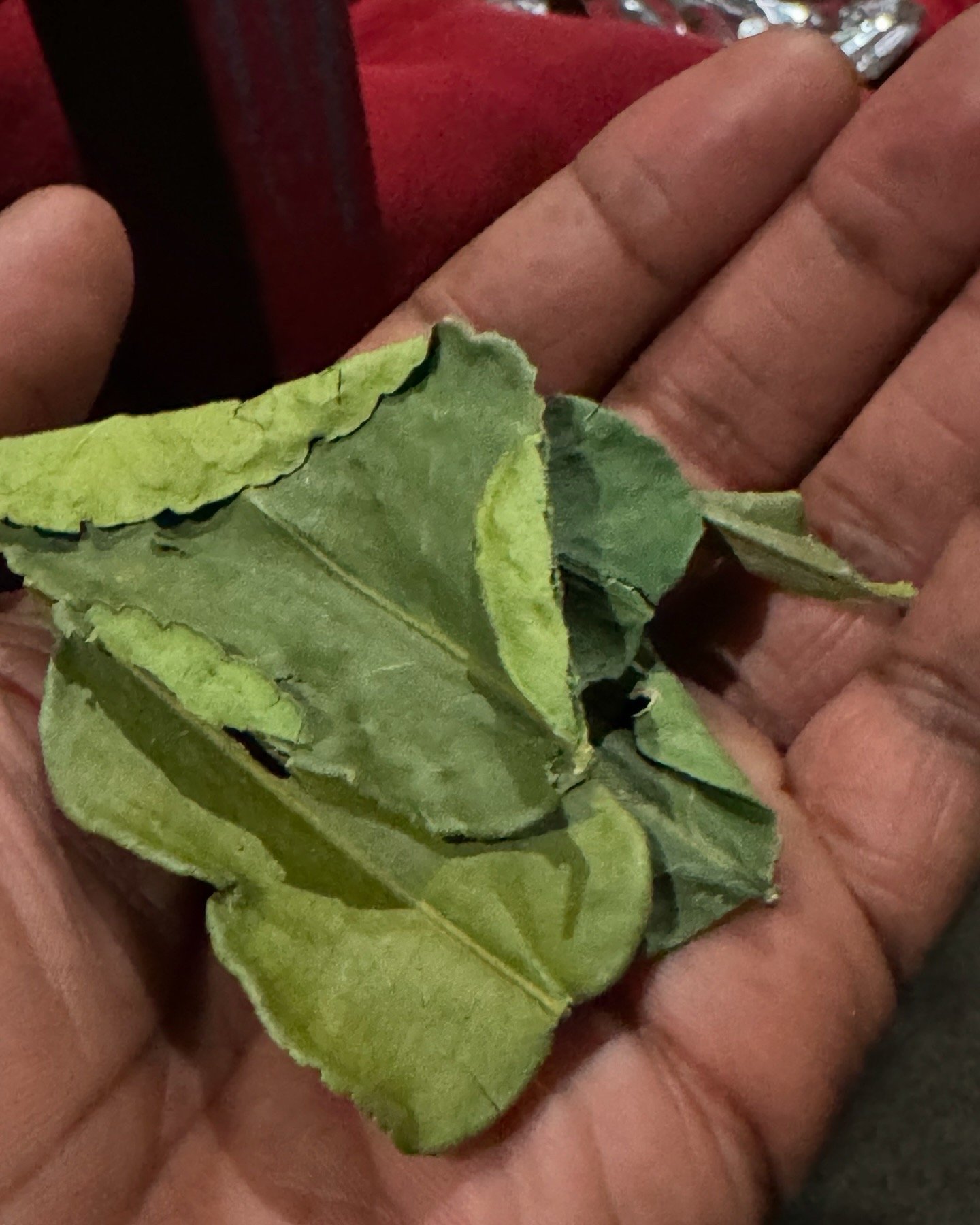 Image of Lime herbal deodorant spray 