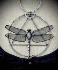 Image 2 of Wings of Transformation (coco)