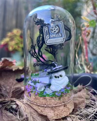 Image 3 of Large Domes