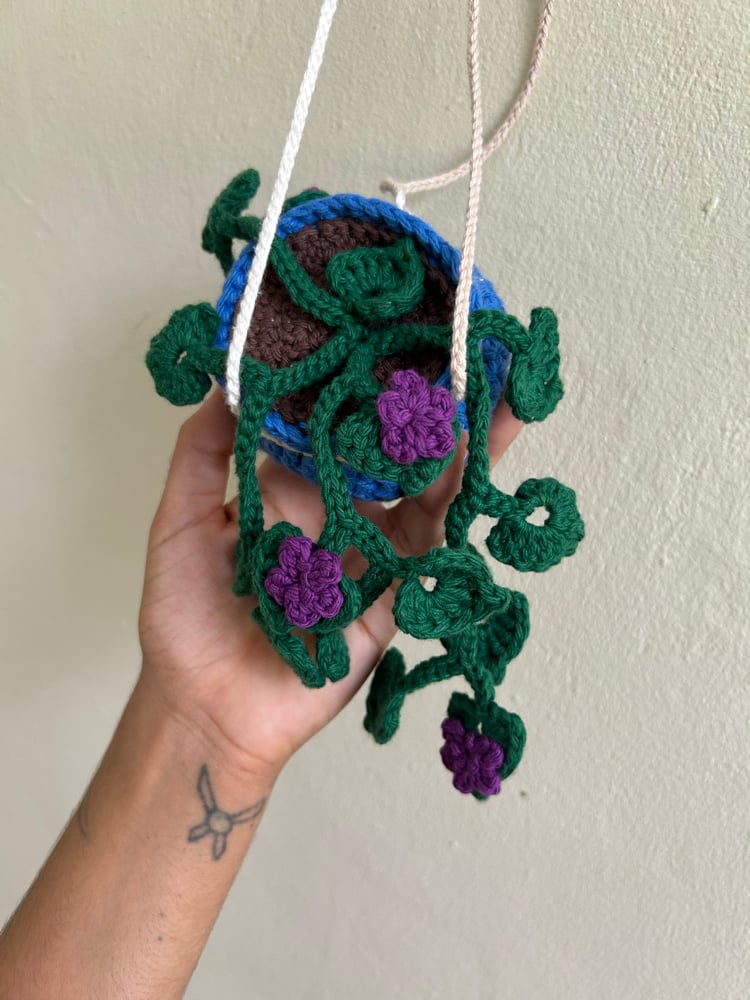 Image of ✧Hanging Bellflower Plant