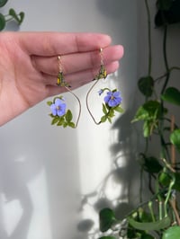 Image 2 of Open frame PANIES in purple 💜