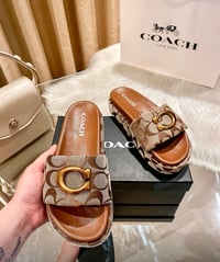 COACH SLIDES (PRE-ORDER ONLY)