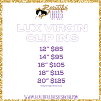 Image 3 of Lux Virgin Clip Ins
