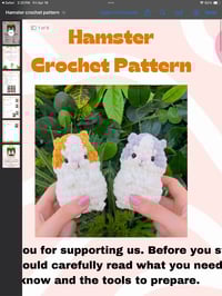 Sheena hamsters 