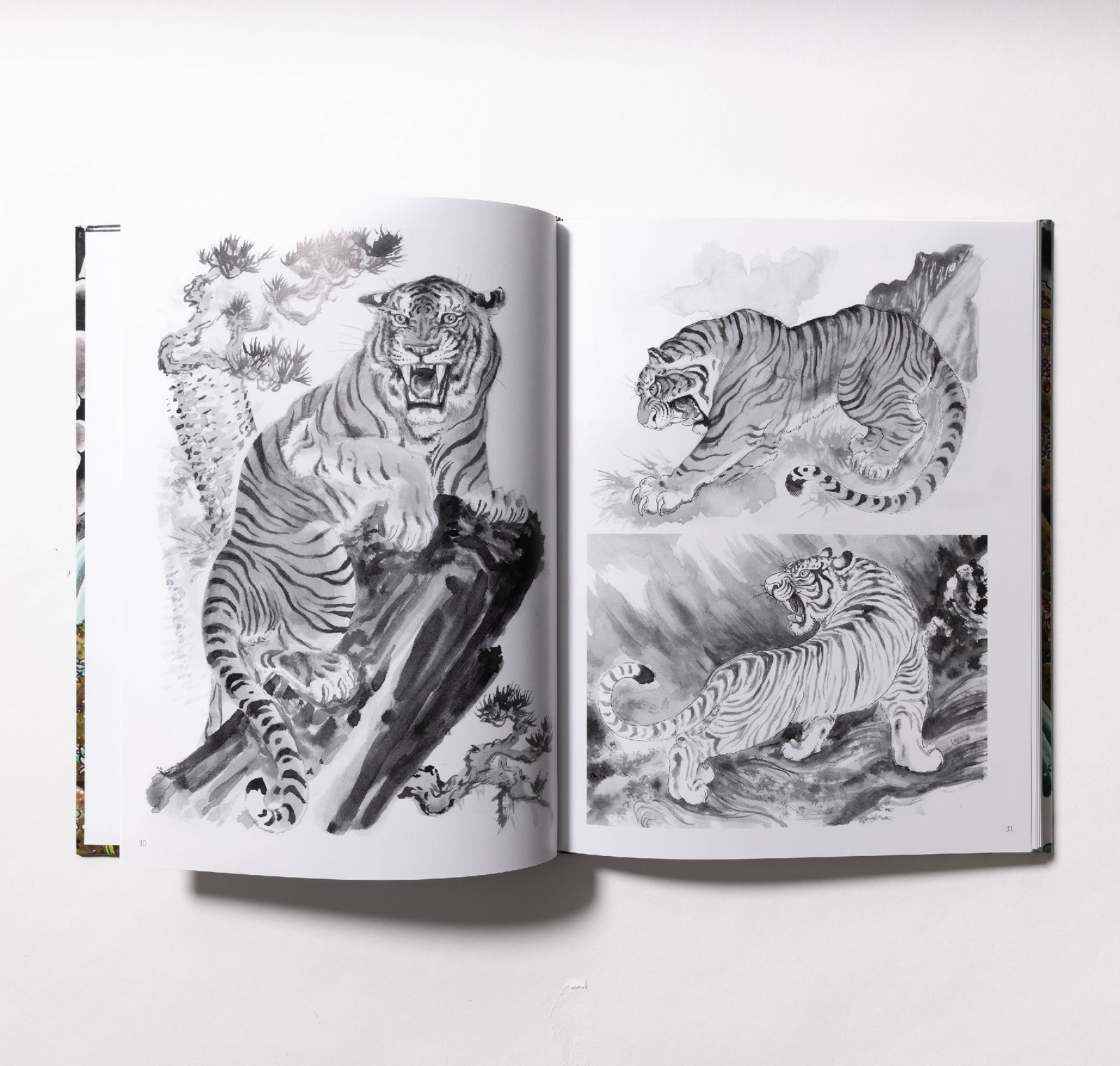 Tim Lehi - The tiger soft cover edition | Lifers Books