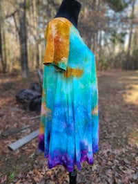 Image 2 of Stardust