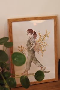 Image 2 of Mimosa