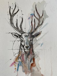 Image 1 of Cerf 