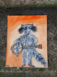 Image 2 of Raccoon 