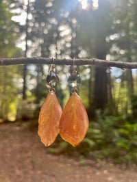 Image 2 of Rust and Petal Earrings 