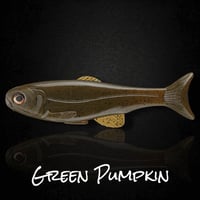 Roma Trout - GREEN PUMPKIN