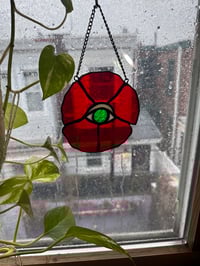Image 3 of Eye Catcher Poppy 👁️
