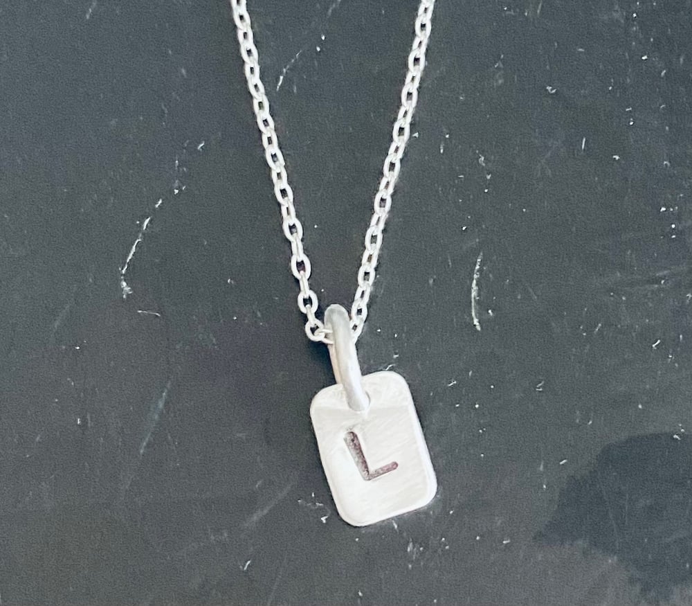 Image of Silver dog tag with chain 