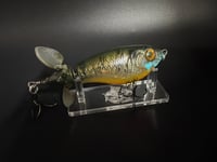 Image 2 of Buzz’n Black Perch