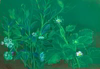 Image 3 of 🍓“Companions”- Original Botanical Drawing