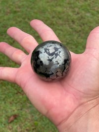 Image 10 of Pyrite In Magnetite Sphere #1107