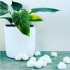 Soy Wax Melts - HEARTS 6pk
