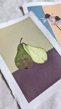 Image 2 of A Duo of Pears 