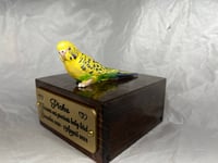 Image 6 of Custom Engraved Budgie Parakeet Handpainted To Your Photos Bird Mini Keepsake Urn Pet Portrait