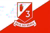 3rd Infantry Battalion Flag