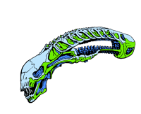 Image 2 of "Xeno 5" PREORDER 