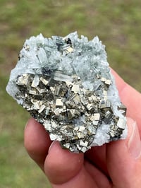 Image 1 of Cubic Pyrite & Fine Quartz Points Cluster Bulgaria Specimen #2613