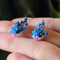 Image 3 of Whale Shark