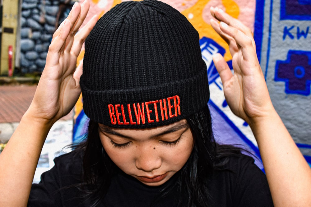 Image of Bellwether Beanie