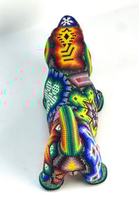 Image 4 of Wiener dog 