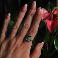 Image 3 of Jade Luck