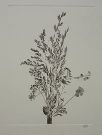 Image 2 of Bouquet 01 - A4 - Original Botanical Monoprint