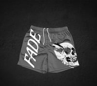 Charcoal Gray and white 3/4 inch mesh shorts 
