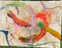 Image 2 of Orange Bird of Paradise