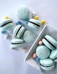 Robins Egg Macarons