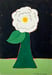 Image of White Camellia