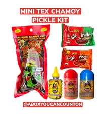 Mini Tex Chamoy Pickle Kit-6 Items