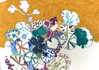 Image 2 of Fantasy geraniums 