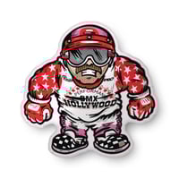 BMX BUDDIES HOLLYWOOD PILLOW