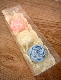 Image 1 of Snug and Bloom trio set