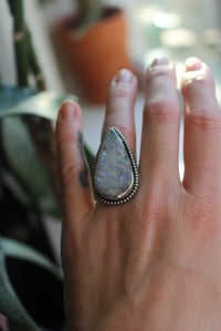 Image 3 of Silver Crescent 