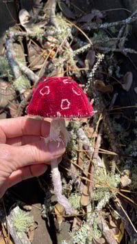 Image 1 of Red cap mushroom velvet 