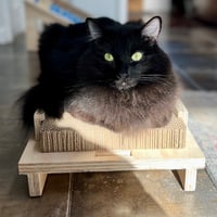 Image 7 of Heavy Duty Cardboard Scratcher — Flat